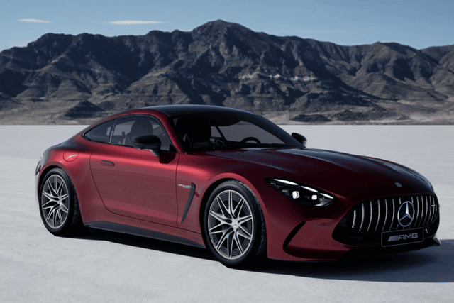 Color Patagonia Red Image - 18683